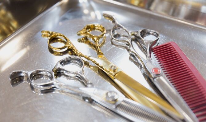 AdobeStock_131697184